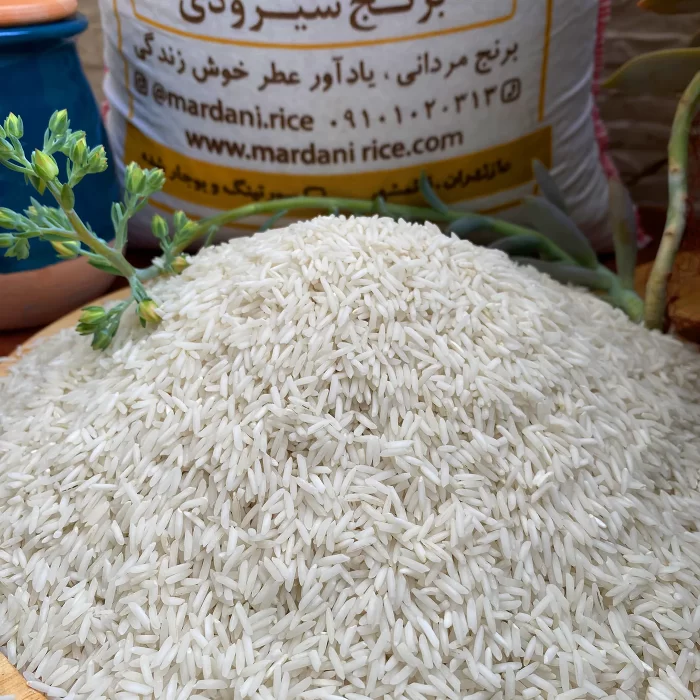 برنج شیرودی